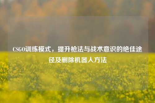 CSGO训练模式，提升枪法与战术意识的绝佳途径及删除机器人方法