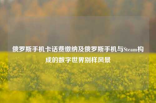 俄罗斯手机卡话费缴纳及俄罗斯手机与Steam构成的数字世界别样风景