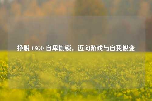 挣脱 CSGO 自卑枷锁，迈向游戏与自我蜕变
