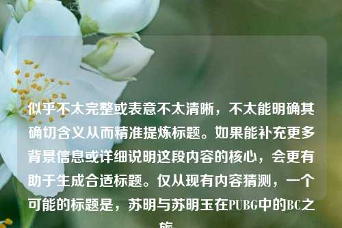 似乎不太完整或表意不太清晰，不太能明确其确切含义从而精准提炼标题。如果能补充更多背景信息或详细说明这段内容的核心，会更有助于生成合适标题。仅从现有内容猜测，一个可能的标题是，苏明与苏明玉在PUBG中的BC之旅 。