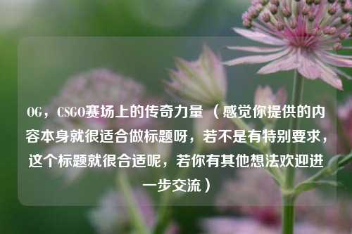 OG，CSGO赛场上的传奇力量 （感觉你提供的内容本身就很适合做标题呀，若不是有特别要求，这个标题就很合适呢，若你有其他想法欢迎进一步交流）