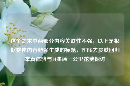 这个需求中两部分内容关联性不强，以下是根据整体内容勉强生成的标题，PUBG去皮肤回归本真体验与14油耗一公里花费探讨