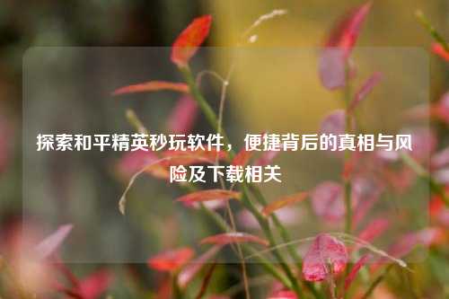 探索和平精英秒玩软件，便捷背后的真相与风险及下载相关