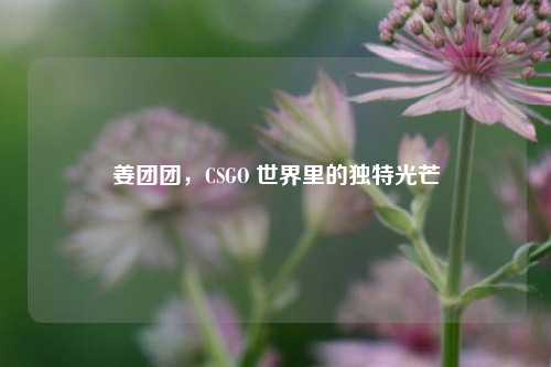姜团团，CSGO 世界里的独特光芒