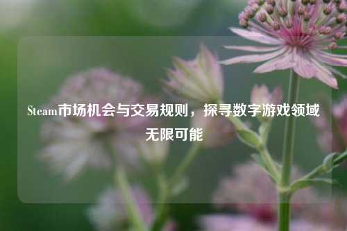 Steam市场机会与交易规则，探寻数字游戏领域无限可能