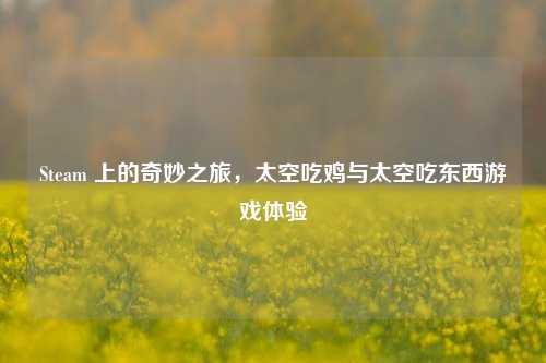 Steam 上的奇妙之旅,太空吃鸡与太空吃东西游戏体验