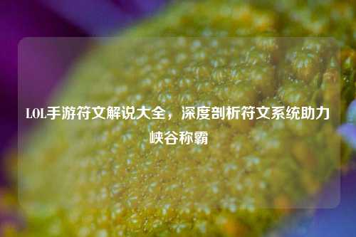 LOL手游符文解说大全，深度剖析符文系统助力峡谷称霸