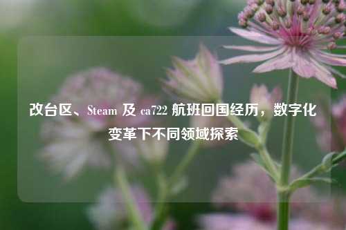 改台区、Steam 及 ca722 航班回国经历，数字化变革下不同领域探索