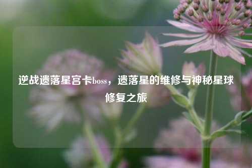 逆战遗落星宫卡boss，遗落星的维修与神秘星球修复之旅