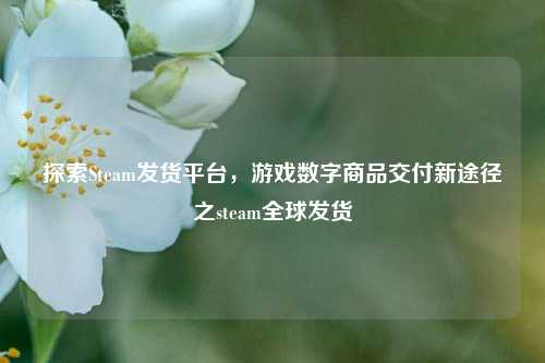 探索Steam发货平台,游戏数字商品交付新途径之steam全球发货