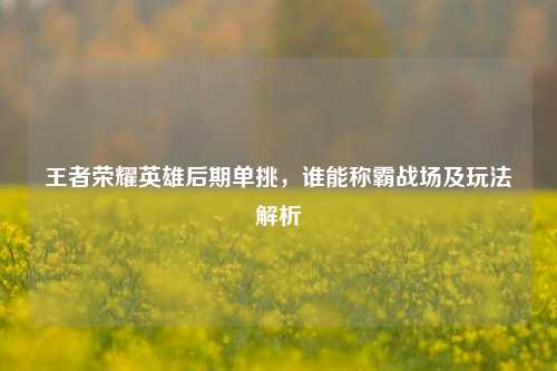 王者荣耀英雄后期单挑，谁能称霸战场及玩法解析