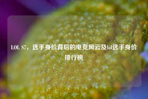 LOL S7，选手身价背后的电竞风云及lol选手身价排行榜