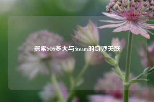探索SOS多大与Steam的奇妙关联