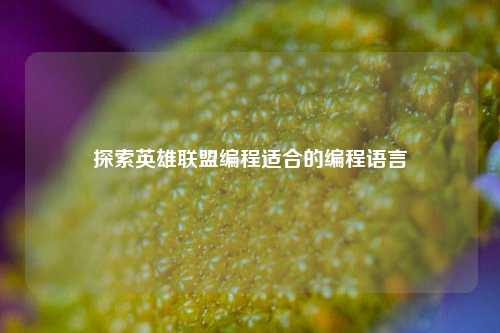 探索英雄联盟编程适合的编程语言