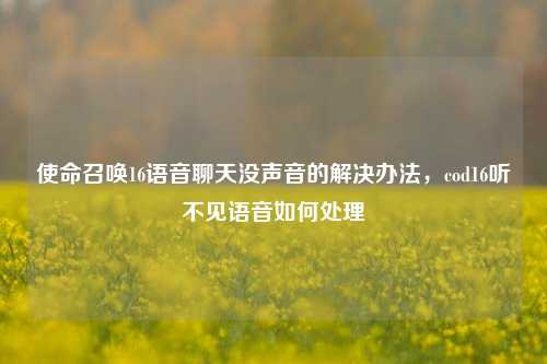 使命召唤16语音聊天没声音的解决办法，cod16听不见语音如何处理