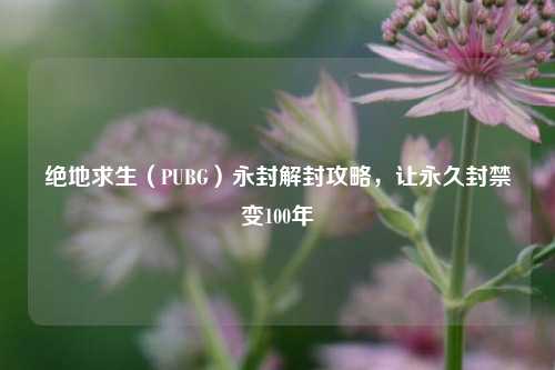 绝地求生（PUBG）永封解封攻略，让永久封禁变100年