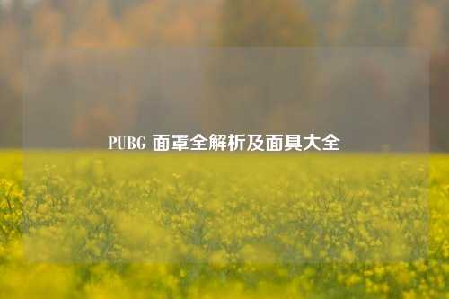 PUBG 面罩全解析及面具大全