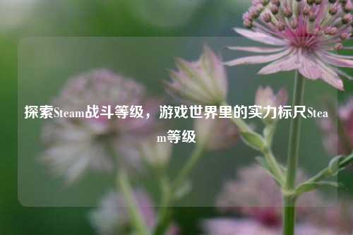 探索Steam战斗等级，游戏世界里的实力标尺Steam等级