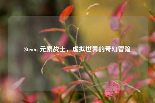 Steam 元素战士，虚拟世界的奇幻冒险