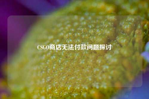 CSGO商店无法付款问题探讨