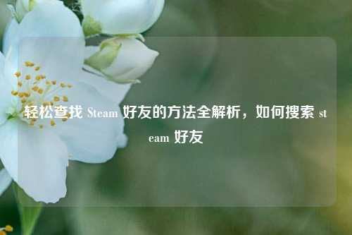 轻松查找 Steam 好友的方法全解析，如何搜索 steam 好友