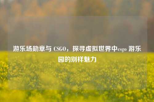 游乐场勋章与 CSGO，探寻虚拟世界中csgo 游乐园的别样魅力