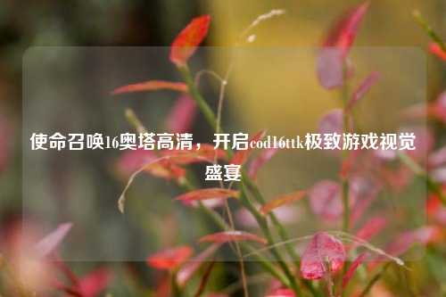 使命召唤16奥塔高清，开启cod16ttk极致游戏视觉盛宴