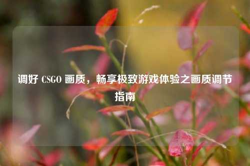 调好 CSGO 画质，畅享极致游戏体验之画质调节指南