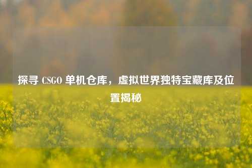 探寻 CSGO 单机仓库，虚拟世界独特宝藏库及位置揭秘