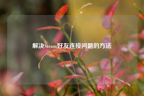 解决Steam好友连接问题的方法