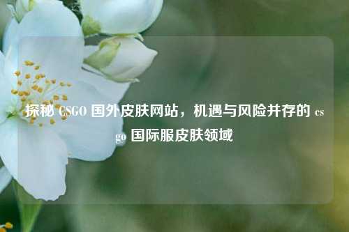 探秘 CSGO 国外皮肤网站，机遇与风险并存的 csgo 国际服皮肤领域