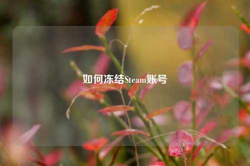 如何冻结Steam账号