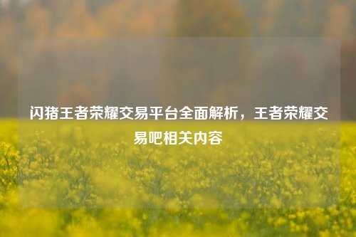 闪猪王者荣耀交易平台全面解析，王者荣耀交易吧相关内容