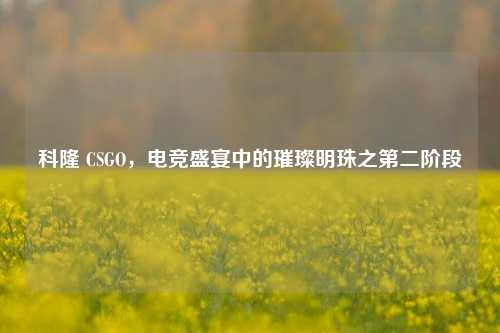科隆 CSGO，电竞盛宴中的璀璨明珠之第二阶段