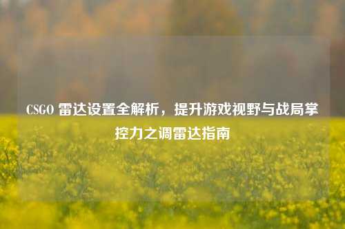 CSGO 雷达设置全解析，提升游戏视野与战局掌控力之调雷达指南