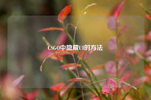 CSGO中隐藏UI的方法
