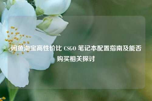 闲鱼淘宝高性价比 CSGO 笔记本配置指南及能否购买相关探讨
