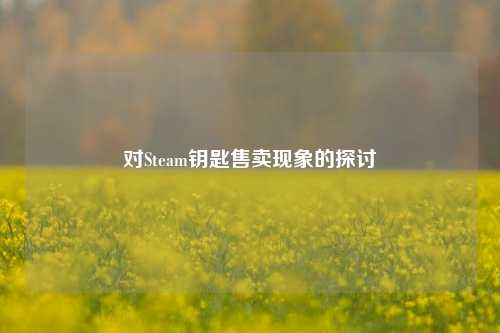 对Steam钥匙售卖现象的探讨