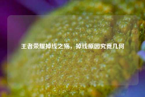 王者荣耀掉线之殇，掉线原因究竟几何