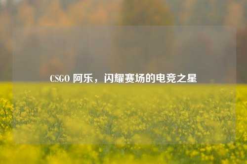 CSGO 阿乐，闪耀赛场的电竞之星