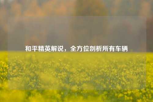 和平精英解说，全方位剖析所有车辆