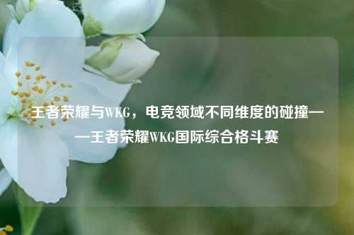 王者荣耀与WKG，电竞领域不同维度的碰撞——王者荣耀WKG国际综合格斗赛