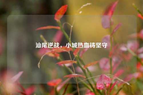 汕尾逆战，小城热血铸坚守