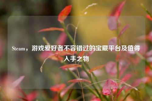 Steam，游戏爱好者不容错过的宝藏平台及值得入手之物