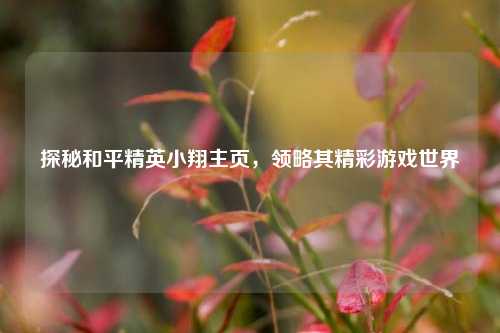 探秘和平精英小翔主页，领略其精彩游戏世界