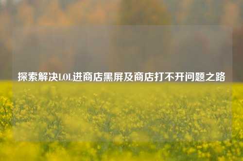 探索解决LOL进商店黑屏及商店打不开问题之路