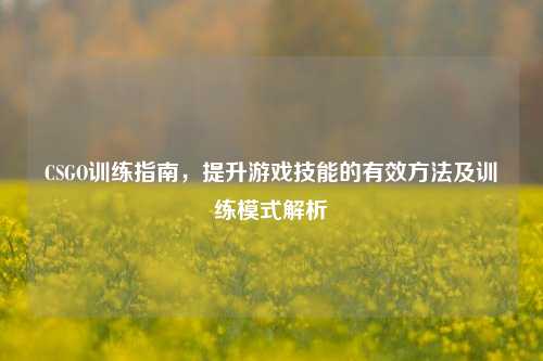 CSGO训练指南，提升游戏技能的有效方法及训练模式解析