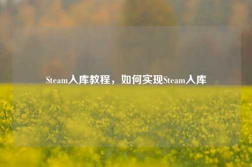 Steam入库教程,如何实现Steam入库