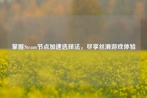 掌握Steam节点加速选择法,尽享丝滑游戏体验