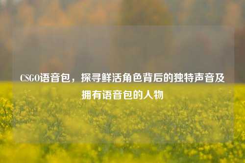 CSGO语音包,探寻鲜活角色背后的独特声音及拥有语音包的人物